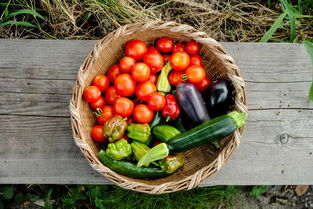 六个月私人代生孩子根茎类蔬菜的成长营养之旅